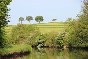 Blick vom Kanal auf die Natur am Ufer