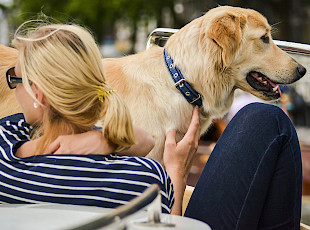 Darf mein Hund mit in den Hausboot-Urlaub?