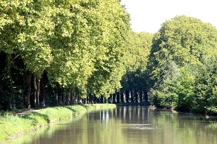 Idyllische Baum-Allee am Canal lateral a la Garonne