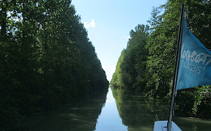 Dicht bewachsenes Ufer zu beiden Seiten des Canal lateral du Garonne