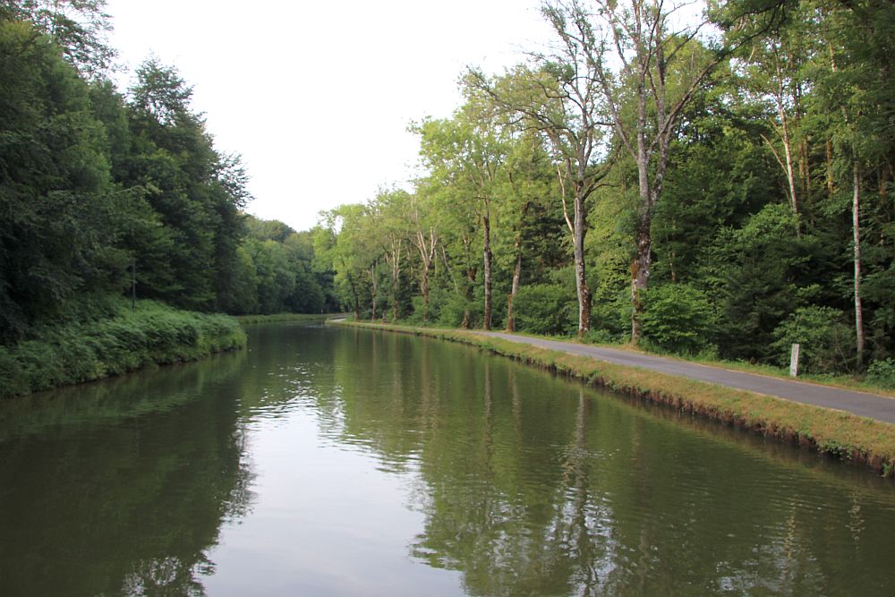 Viel Natur am Kanal